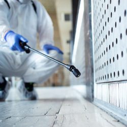 Certified Asbestos, Lead & Mold Testing & Abatement